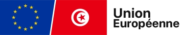 Union Européenne logo